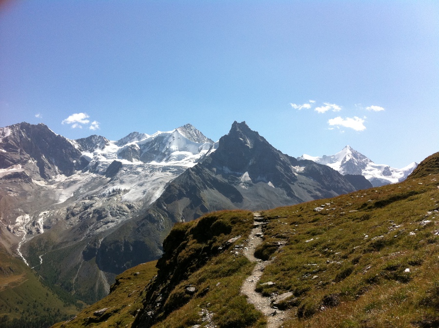 Large img 0493